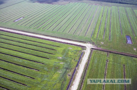 Повтыкать на ночь глядя