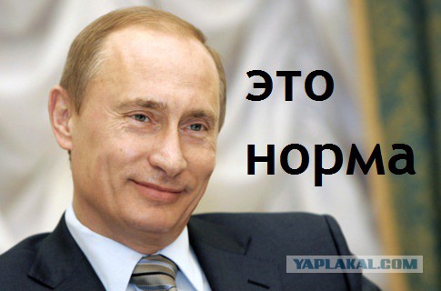 Песков объяснил, почему расследование о семье