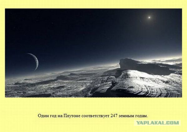 28 занимательных фактов о разном