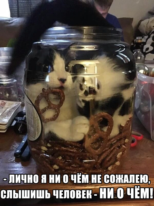 Подборка картинок