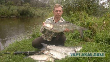 "Поймал мужик рыбку"