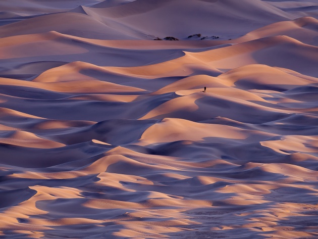 Подборка интересных и веселых фото