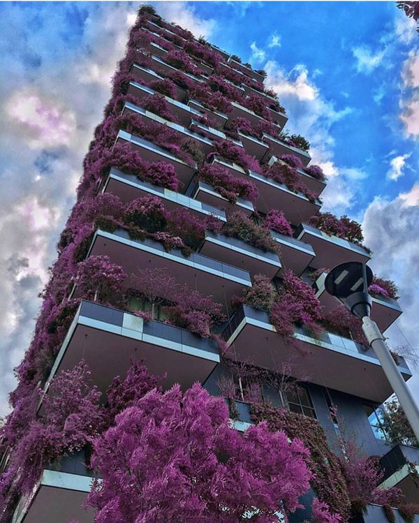 Небольшой микс картинок и гифок .
