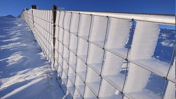 Комментарии и картинки из соцсетей