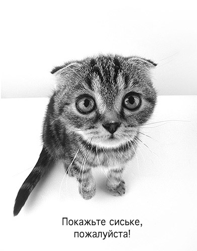 Мокрое чудовище требует сиськи!