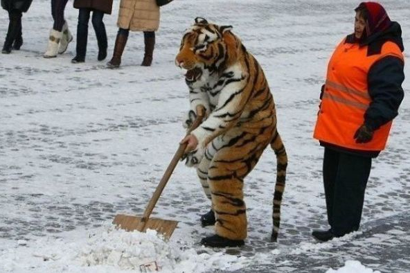А все остальные страны нам завидуют!