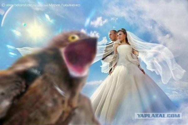 Адовый трэш и тупизм на начало недели