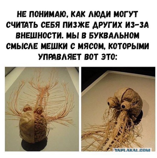 Веселые пятничные картинки