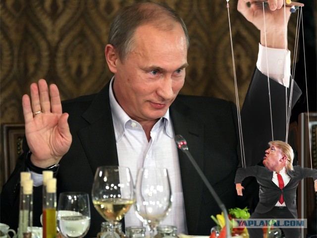 Фотожаба "Профиль Трампа"