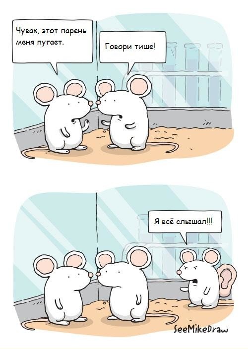 Нестандартный юмор