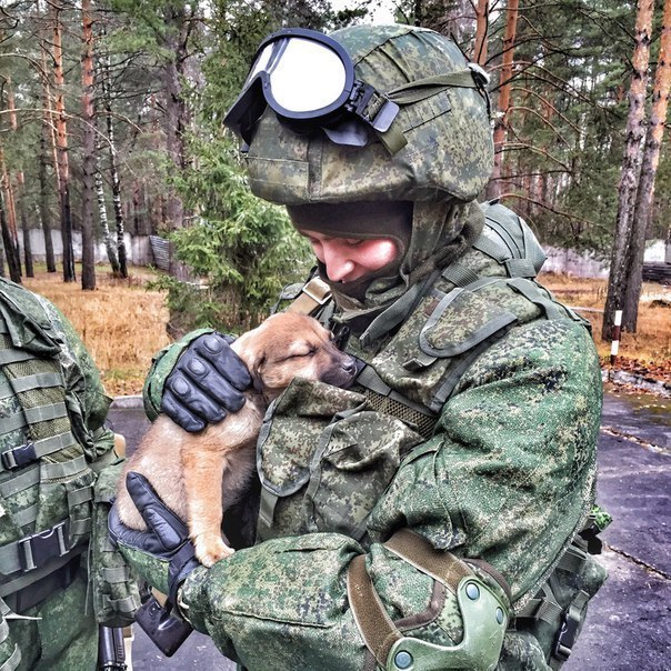Картинки по-приколу