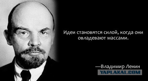 Цитата недели