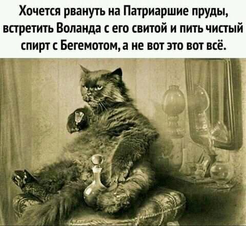 Так себе картинки 29.06.20