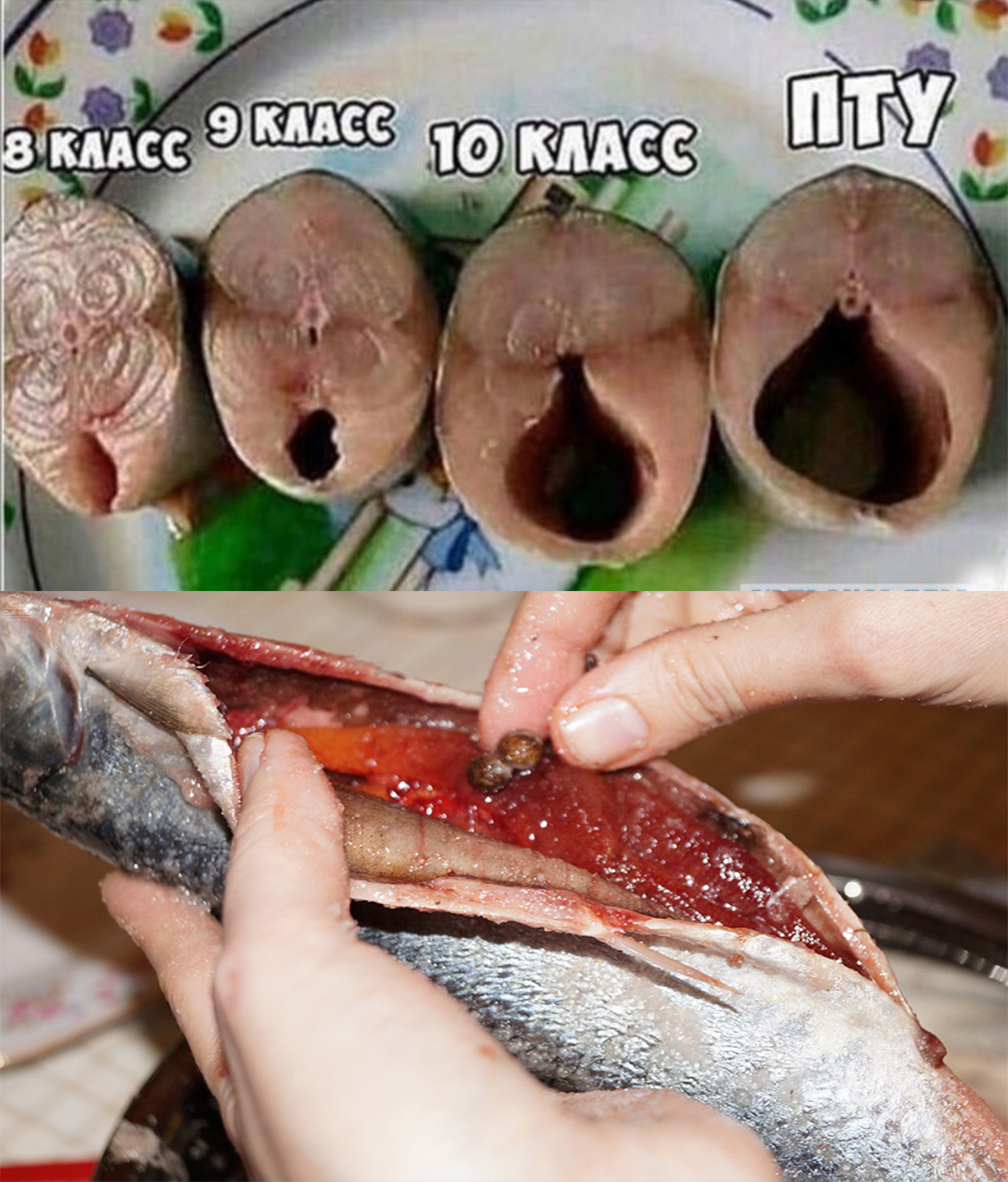 Почему После Секса Пахнет Рыбой