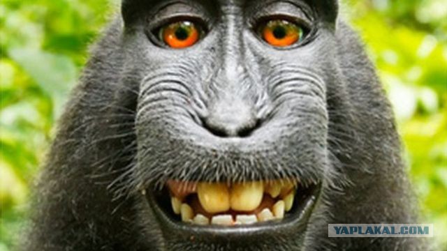 YouTube (Ютуб) и Гугл сломался