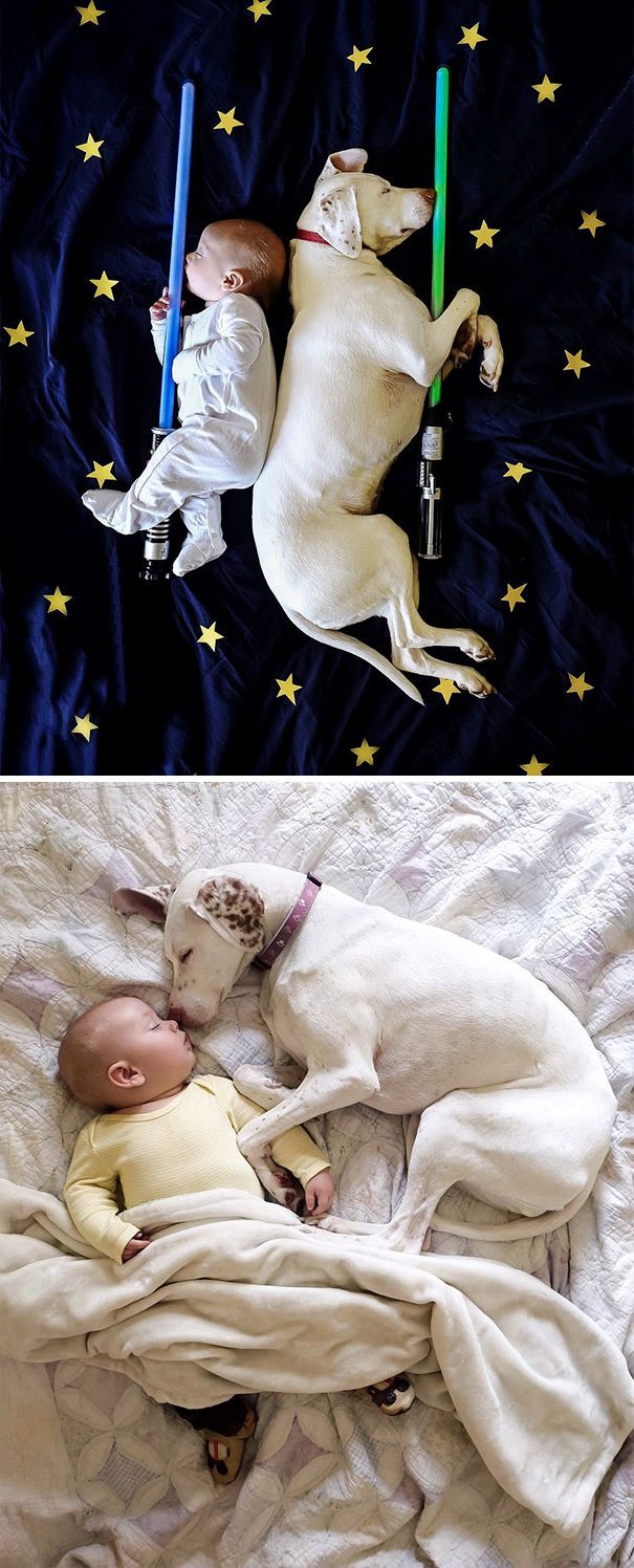 22 фото, доказывающих, что для счастья ребёнку нужна собака, а если вы думаете иначе, то вы точно кошка