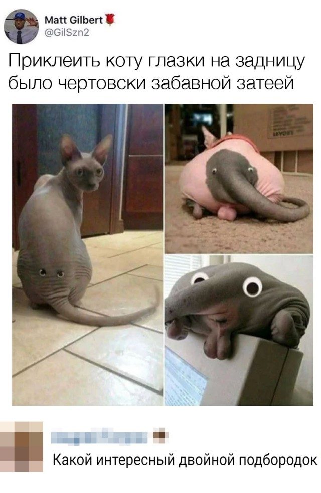 Картинки на вчера