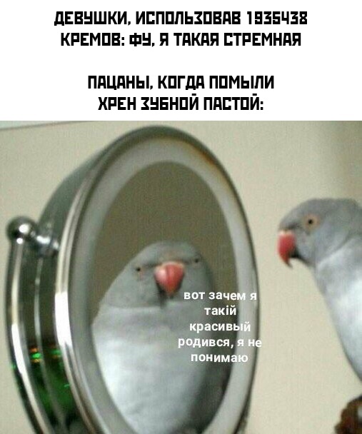 Картинки и мемы для настроения 23.08.2021