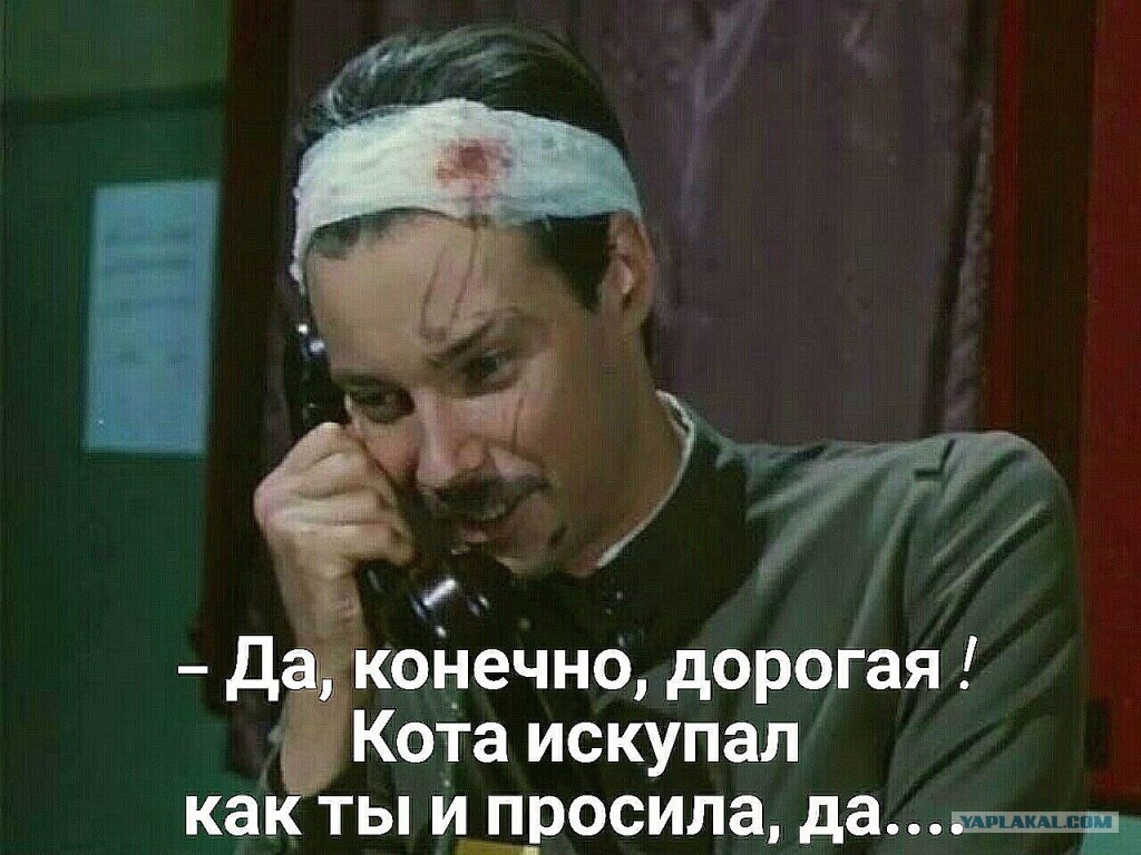 конечно дорогая песня. мама рано утром просыпаюсь текст. она мне просто друг. рано утром просыпаюсь я от глаз твоих текст. конечно дорогая песня.