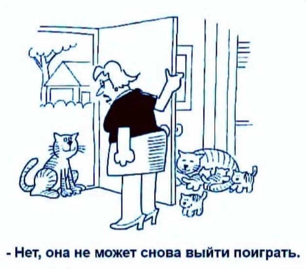 Улыбнись, не грусти!