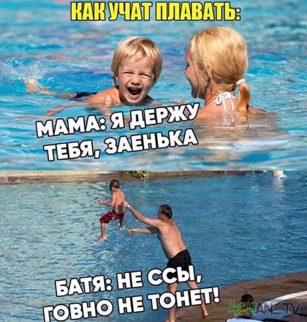 Уроки плавания детёнышей выдры