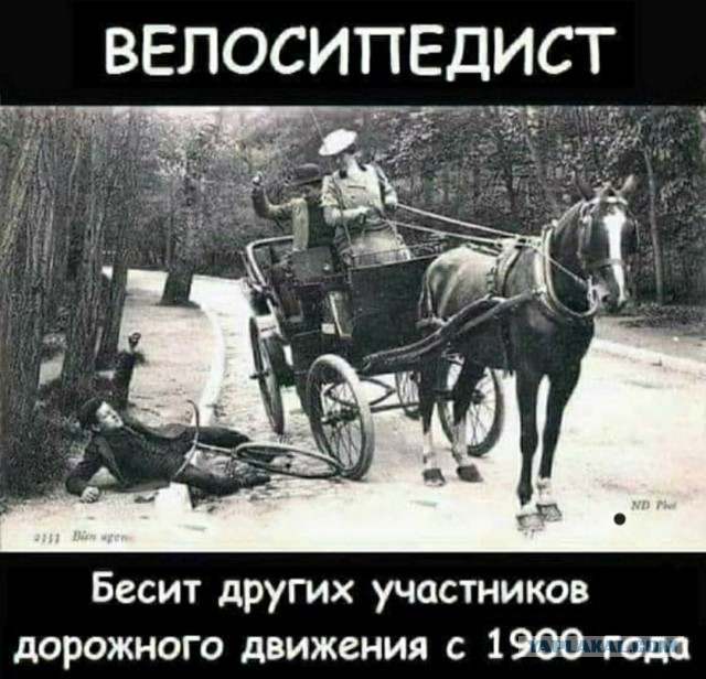Картинки и мемы, всем хороших выходных