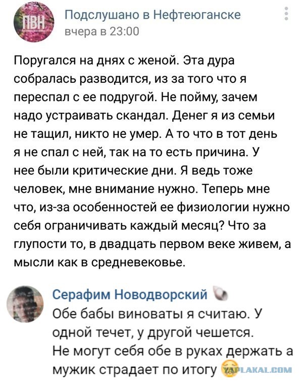 Забавные комментарии из социальных сетей (23.01.23)