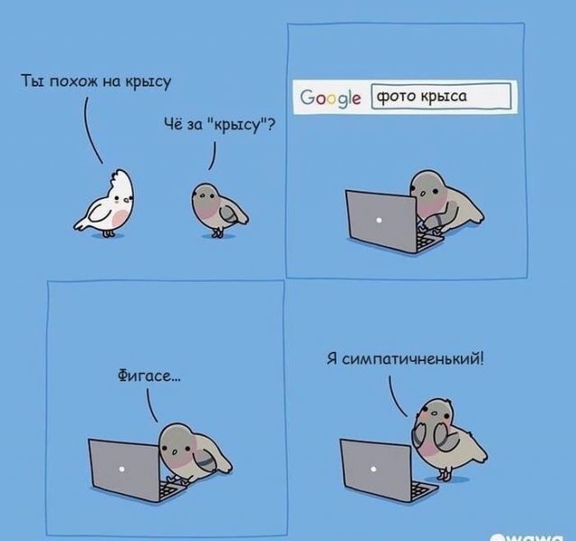 Всем хороших выходных - картинки, мемы и т.п.