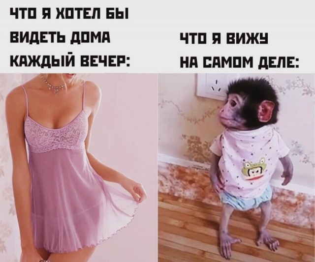 Скупка краденого из сети 15-06-2023