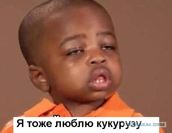 Знакомьтесь - капибары