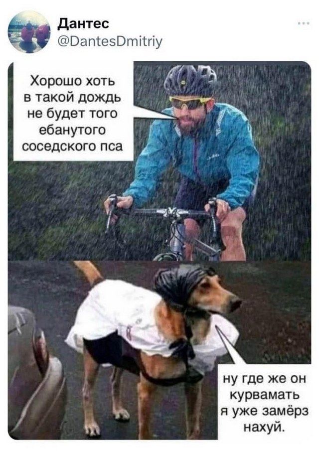 Завалялось тут случайно немного забавных картинок