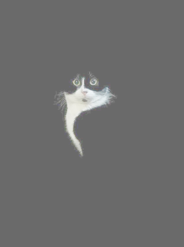 Идеальной фотографии не существу...