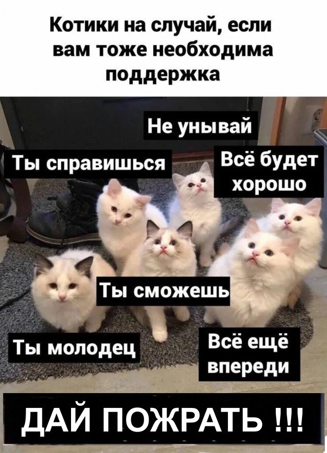 Завалялось тут случайно немного забавных картинок