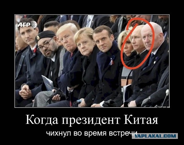 Так себе картинки 13.02.25
