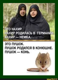 Соотношений числа мечетей в Германии (2750) и церквей в Саудовской Аравии (0)