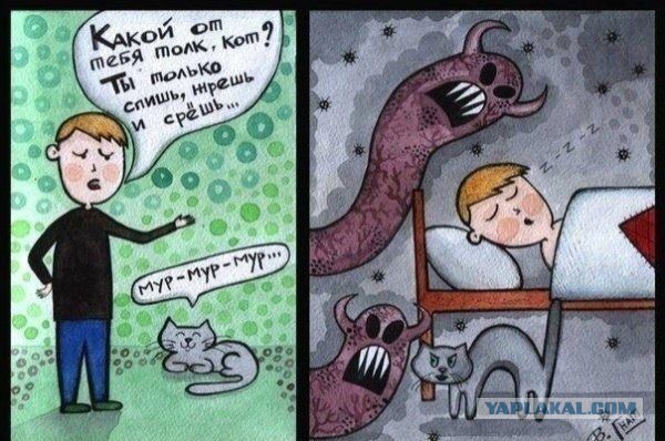 Устали мы.