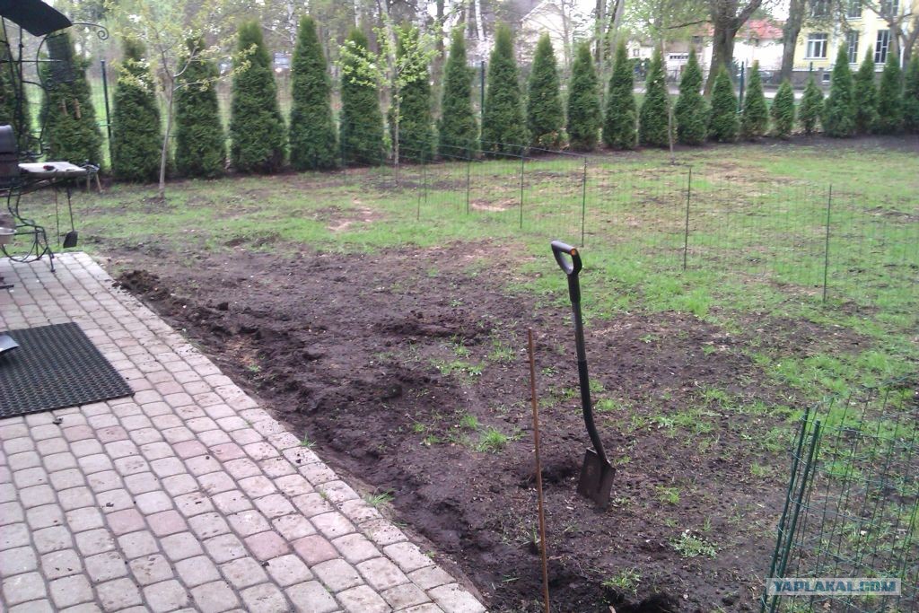 Уточнение границ участка. Земельный участок. Объединение земельных участков. Планировка дорожек на участке. Озеленение территории высадка деревьев.