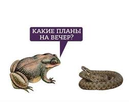 Мужик или не мужик