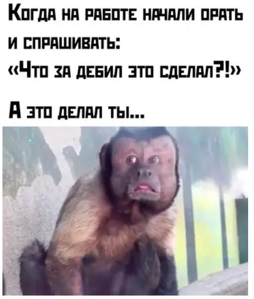 Картиночки, баянчики 17 апреля
