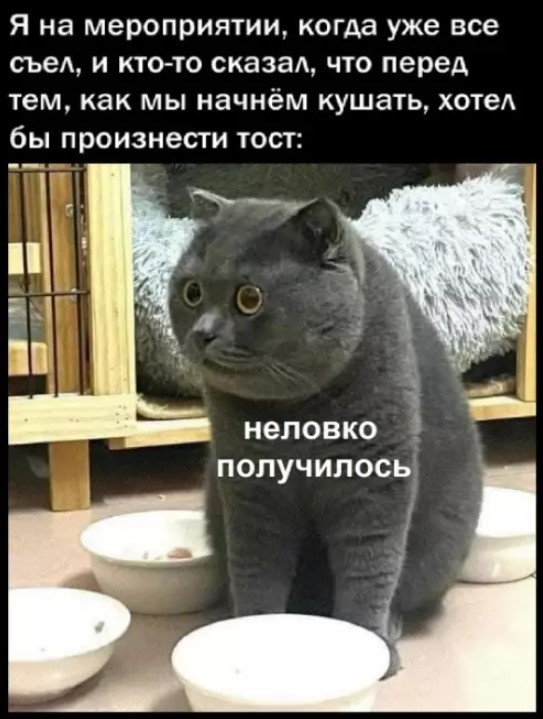 К котовторнику: подборка картинок-баянов с котиками и про котиков. Выпуск 37.