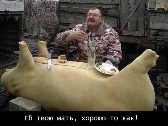 Картиночки, баянчики 11 мая