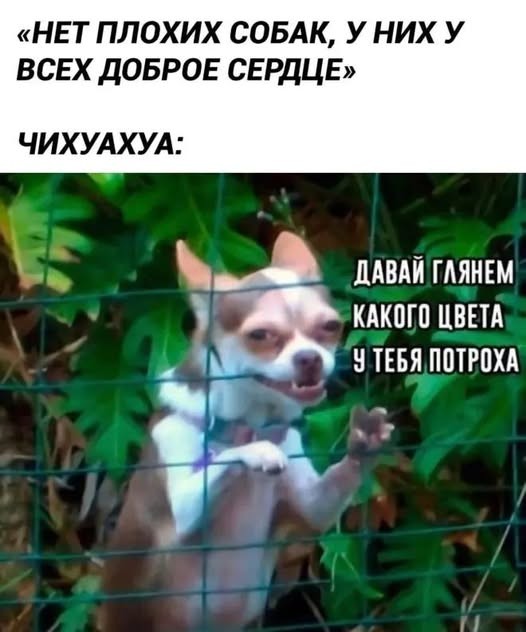 Картинки на среду