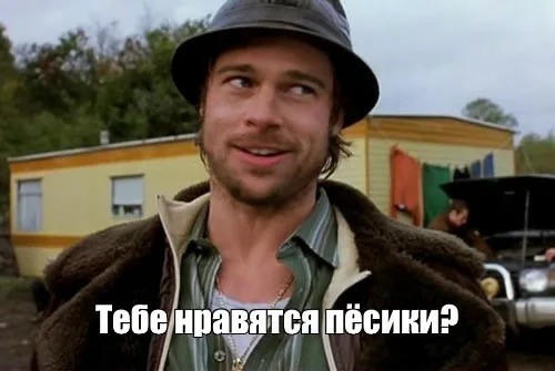 Крысоловы