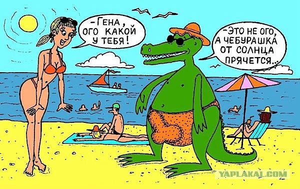 Смешные картинки