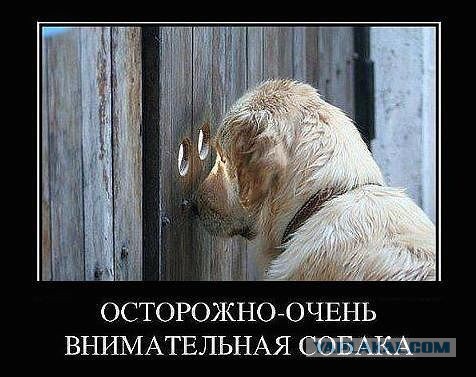 Смешные картинки