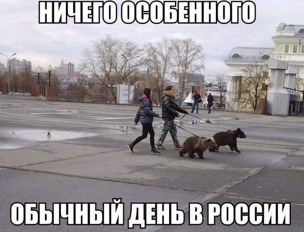 Весёлое из сети