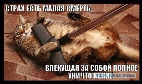 Немного картинок перед понедельником