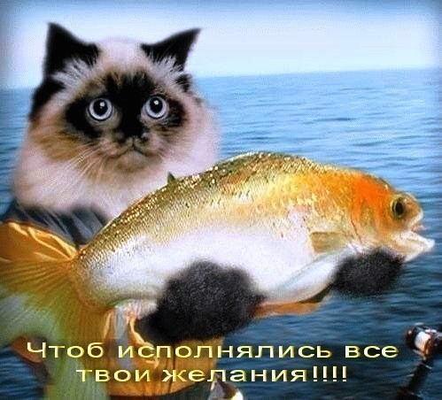 ЯП, С Днём Рождения !