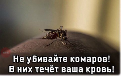 Картинки разные