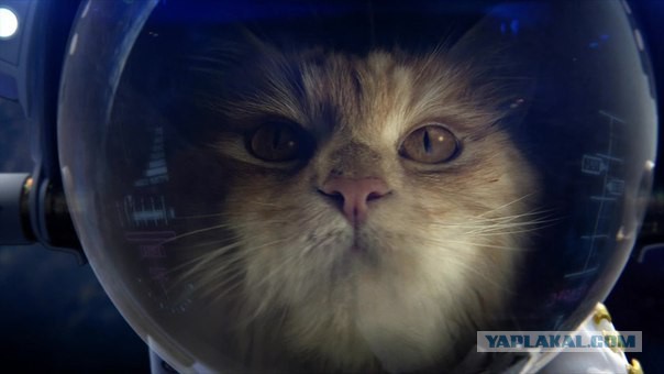 Картинки и прочее